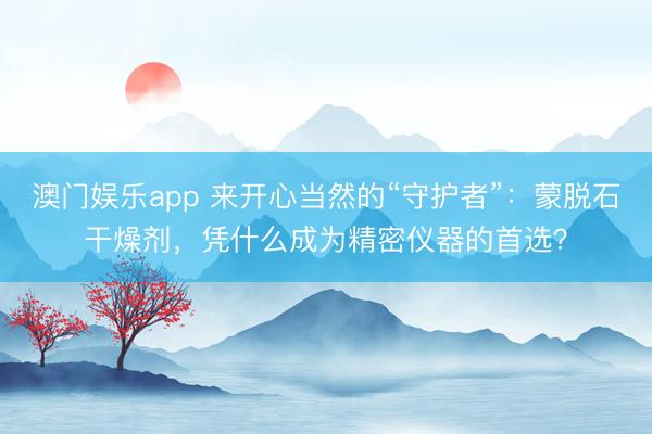 澳门娱乐app 来开心当然的“守护者”：蒙脱石干燥剂，凭什么成为精密仪器的首选？