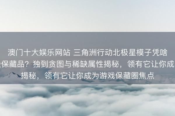澳门十大娱乐网站 三角洲行动北极星模子凭啥成游戏嗜好者终极保藏品？独到贪图与稀缺属性揭秘，领有它让你成为游戏保藏圈焦点
