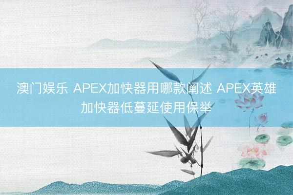 澳门娱乐 APEX加快器用哪款阐述 APEX英雄加快器低蔓延使用保举