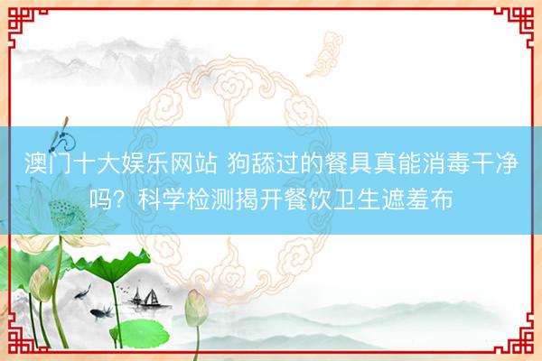 澳门十大娱乐网站 狗舔过的餐具真能消毒干净吗？科学检测揭开餐饮卫生遮羞布