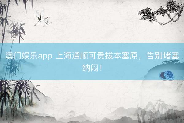 澳门娱乐app 上海通顺可贵拔本塞原，告别堵塞纳闷！