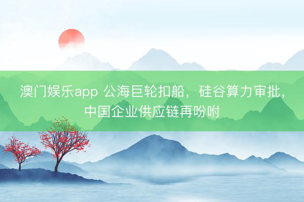 澳门娱乐app 公海巨轮扣船，硅谷算力审批，中国企业供应链再吩咐