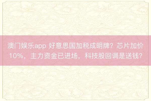 澳门娱乐app 好意思国加税成明牌?芯片加价10%,主力资金已进场,科技股回调是送钱?