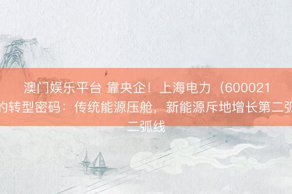 澳门娱乐平台 靠央企！上海电力（600021）的转型密码：传统能源压舱，新能源斥地增长第二弧线