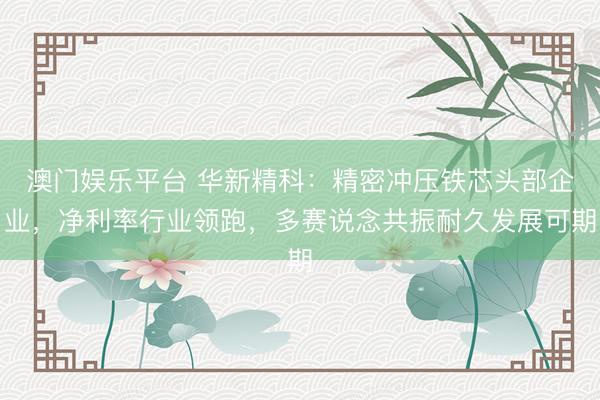 澳门娱乐平台 华新精科：精密冲压铁芯头部企业，净利率行业领跑，多赛说念共振耐久发展可期
