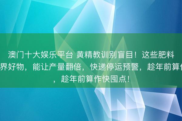 澳门十大娱乐平台 黄精教训别盲目！这些肥料号称教训界好物，能让产量翻倍，快递停运预警，趁年前算作快囤点！