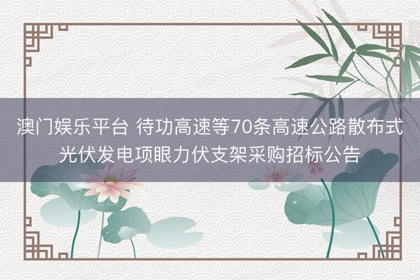 澳门娱乐平台 待功高速等70条高速公路散布式光伏发电项眼力伏支架采购招标公告