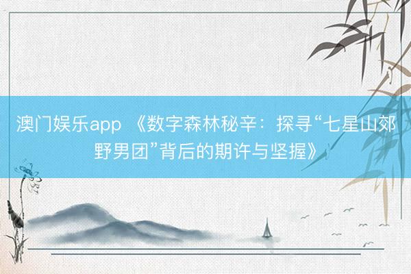 澳门娱乐app 《数字森林秘辛：探寻“七星山郊野男团”背后的期许与坚握》