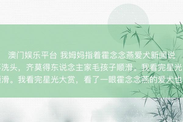 澳门娱乐平台 我姆妈指着霍念念燕爱犬新闻说，你看你的头发天天不洗头，齐莫得东说念主家毛孩子顺滑。我看完星光大赏，看了一眼霍念念燕的爱犬也拿了冠军