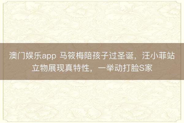 澳门娱乐app 马筱梅陪孩子过圣诞，汪小菲站立物展现真特性，一举动打脸S家