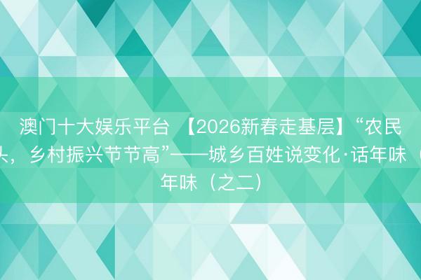 澳门十大娱乐平台 【2026新春走基层】“农民有奔头，乡村振兴节节高”——城乡百姓说变化·话年味（之二）