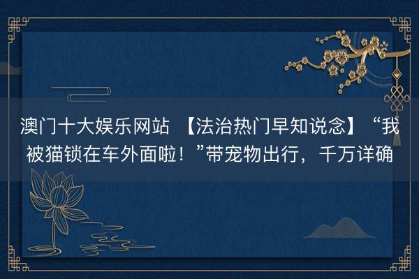 澳门十大娱乐网站 【法治热门早知说念】 “我被猫锁在车外面啦！”带宠物出行，千万详确