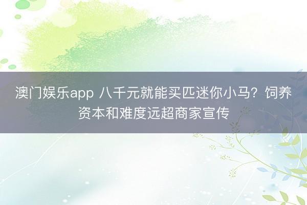 澳门娱乐app 八千元就能买匹迷你小马?饲养资本和难度远超商家宣传