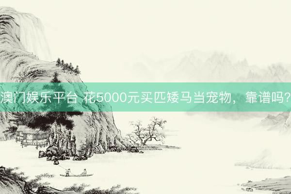 澳门娱乐平台 花5000元买匹矮马当宠物，靠谱吗？