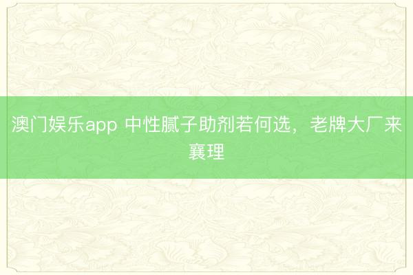 澳门娱乐app 中性腻子助剂若何选，老牌大厂来襄理