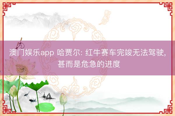 澳门娱乐app 哈贾尔: 红牛赛车完竣无法驾驶， 甚而是危急的进度