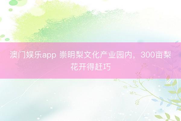 澳门娱乐app 崇明梨文化产业园内,300亩梨花开得赶巧
