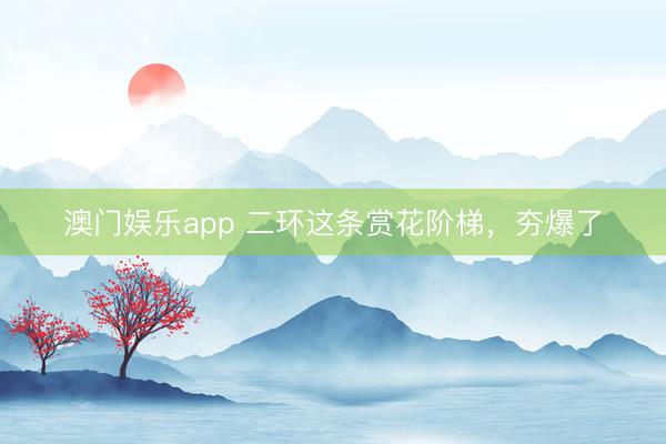澳门娱乐app 二环这条赏花阶梯，夯爆了
