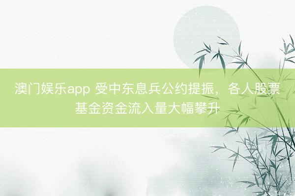 澳门娱乐app 受中东息兵公约提振，各人股票基金资金流入量大幅攀升