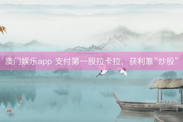 澳门娱乐app 支付第一股拉卡拉，获利靠“炒股”