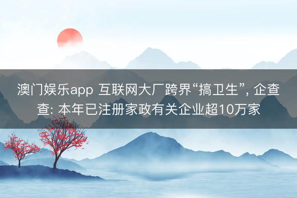 澳门娱乐app 互联网大厂跨界“搞卫生”， 企查查: 本年已注册家政有关企业超10万家