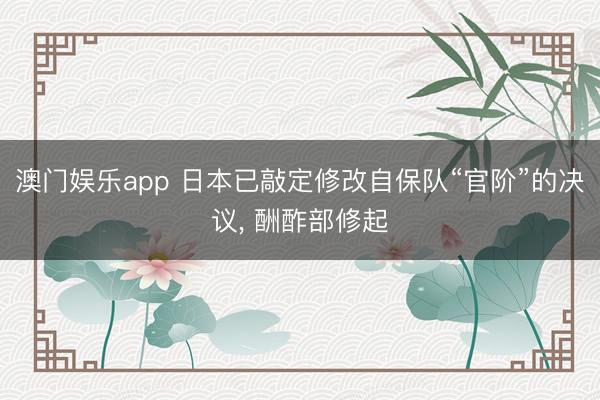 澳门娱乐app 日本已敲定修改自保队“官阶”的决议， 酬酢部修起