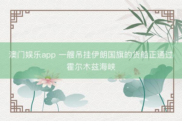 澳门娱乐app 一艘吊挂伊朗国旗的货船正通过霍尔木兹海峡