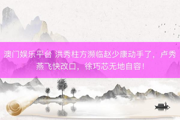 澳门娱乐平台 洪秀柱方濒临赵少康动手了，卢秀燕飞快改口，徐巧芯无地自容！