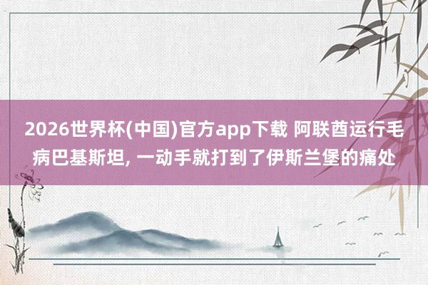 2026世界杯(中国)官方app下载 阿联酋运行毛病巴基斯坦， 一动手就打到了伊斯兰堡的痛处