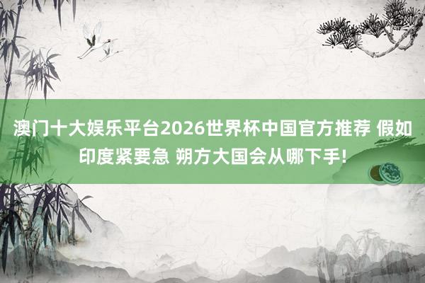 澳门十大娱乐平台2026世界杯中国官方推荐 假如印度紧要急 朔方大国会从哪下手!