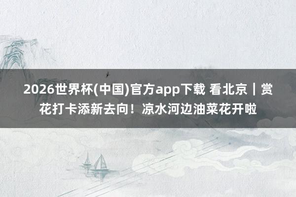 2026世界杯(中国)官方app下载 看北京｜赏花打卡添新去向！凉水河边油菜花开啦