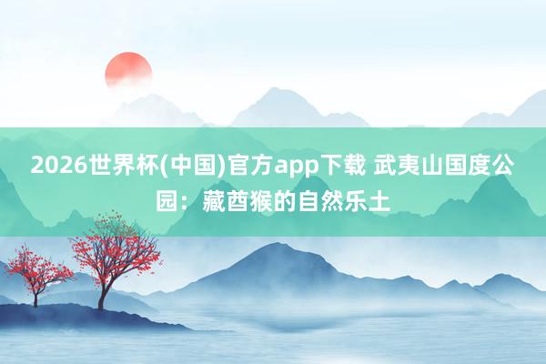 2026世界杯(中国)官方app下载 武夷山国度公园：藏酋猴的自然乐土