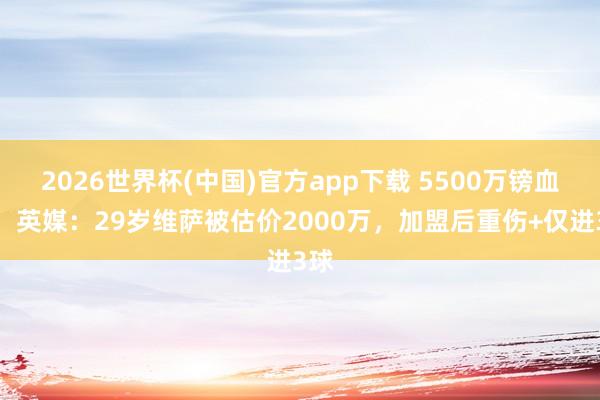 2026世界杯(中国)官方app下载 5500万镑血亏！英媒：29岁维萨被估价2000万，加盟后重伤+仅进3球