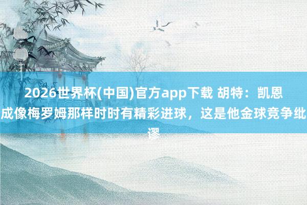 2026世界杯(中国)官方app下载 胡特：凯恩弗成像梅罗姆那样时时有精彩进球，这是他金球竞争纰谬