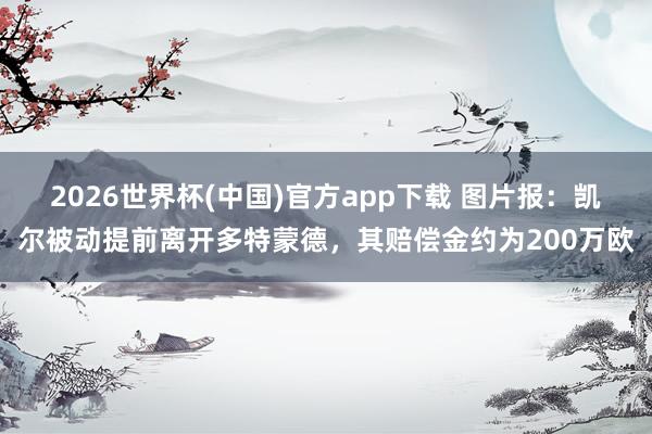2026世界杯(中国)官方app下载 图片报：凯尔被动提前离开多特蒙德，其赔偿金约为200万欧