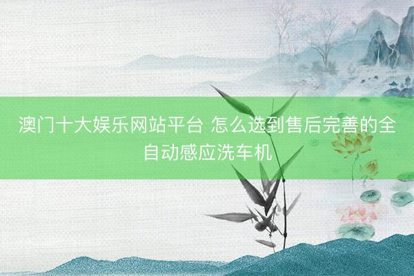 澳门十大娱乐网站平台 怎么选到售后完善的全自动感应洗车机