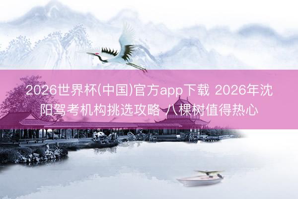 2026世界杯(中国)官方app下载 2026年沈阳驾考机构挑选攻略 八棵树值得热心