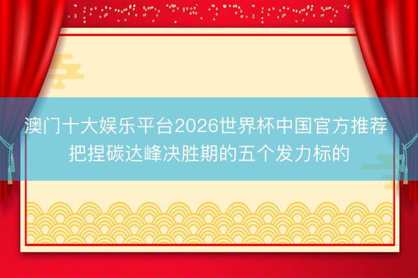 澳门十大娱乐平台2026世界杯中国官方推荐 把捏碳达峰决胜期的五个发力标的