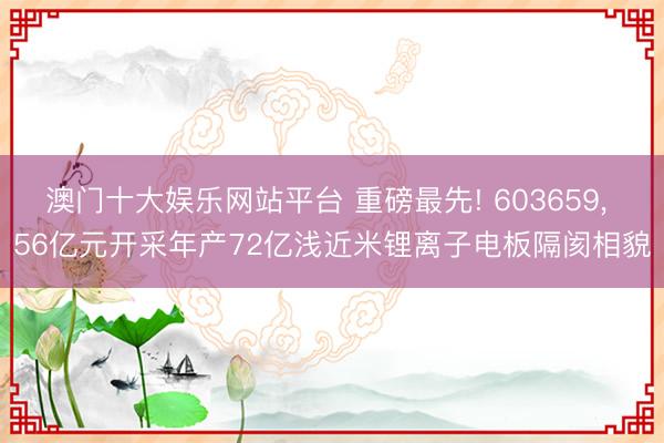澳门十大娱乐网站平台 重磅最先! 603659， 56亿元开采年产72亿浅近米锂离子电板隔阂相貌