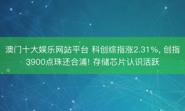 澳门十大娱乐网站平台 科创综指涨2.31%， 创指3900点珠还合浦! 存储芯片认识活跃