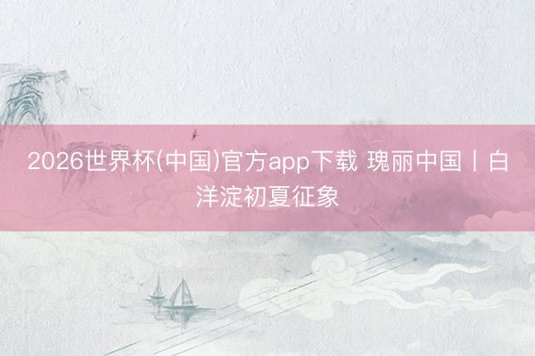 2026世界杯(中国)官方app下载 瑰丽中国丨白洋淀初夏征象