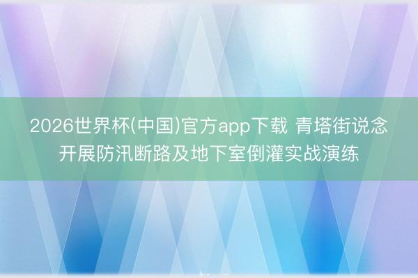 2026世界杯(中国)官方app下载 青塔街说念开展防汛断路及地下室倒灌实战演练