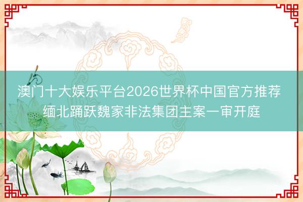 澳门十大娱乐平台2026世界杯中国官方推荐 缅北踊跃魏家非法集团主案一审开庭