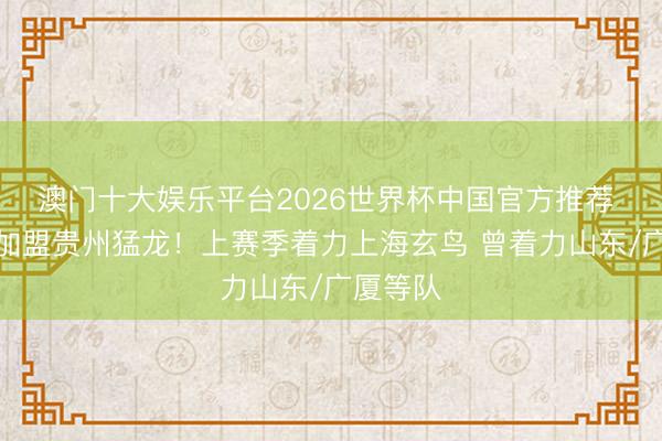 澳门十大娱乐平台2026世界杯中国官方推荐 孙椿棚加盟贵州猛龙！上赛季着力上海玄鸟 曾着力山东/广厦等队