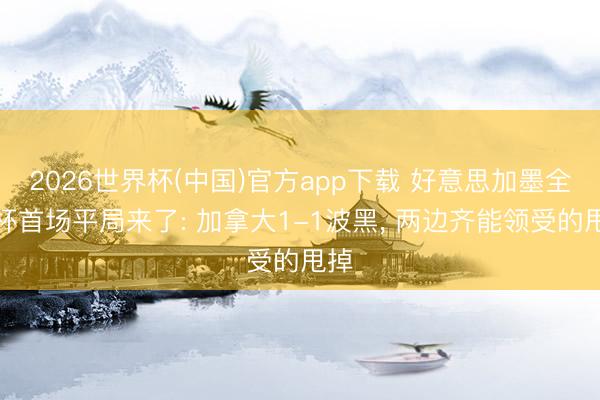 2026世界杯(中国)官方app下载 好意思加墨全国杯首场平局来了: 加拿大1-1波黑, 两边齐能领受的甩掉