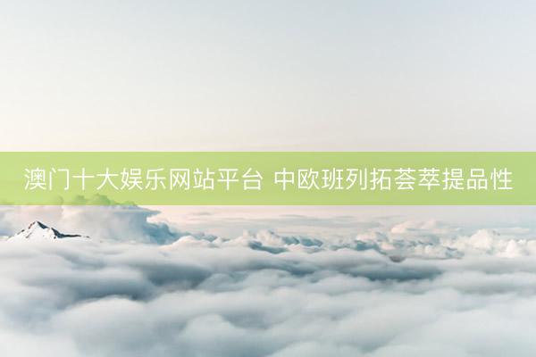 澳门十大娱乐网站平台 中欧班列拓荟萃提品性