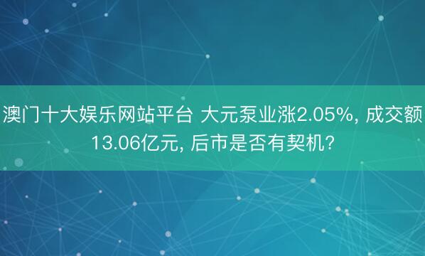 澳门十大娱乐网站平台 大元泵业涨2.05%， 成交额13.06亿元， 后市是否有契机?