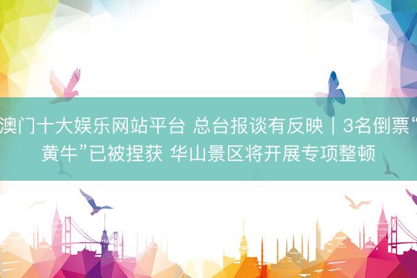 澳门十大娱乐网站平台 总台报谈有反映｜3名倒票“黄牛”已被捏获 华山景区将开展专项整顿