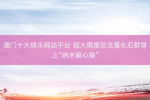 澳门十大娱乐网站平台 超大限度恐龙蛋化石群穿上“纳米留心服”