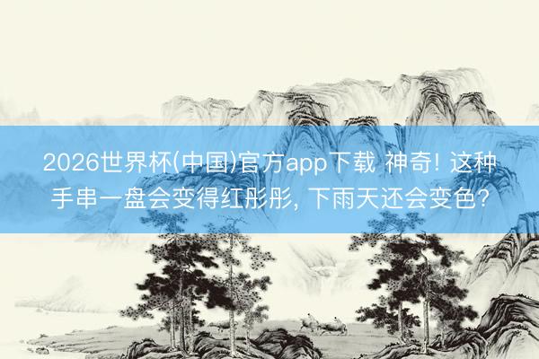 2026世界杯(中国)官方app下载 神奇! 这种手串一盘会变得红彤彤, 下雨天还会变色?